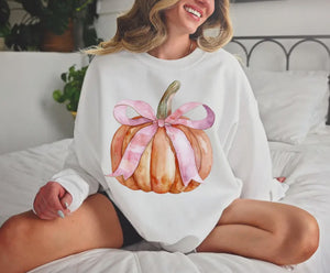 Amelia Pumpkin and Ribbon Fall Sweatshirt